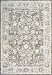 Dynamic Rugs JUPITER 3107-999 Grey and Multi